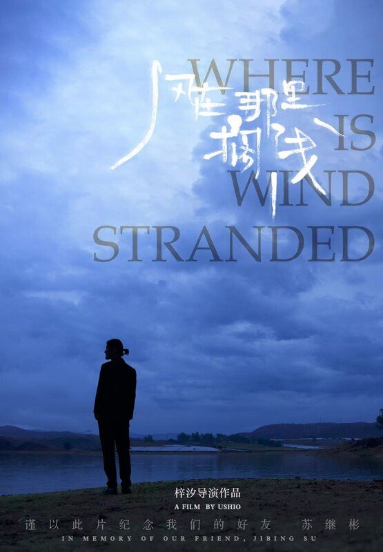 Where Is Wind Stranded